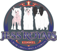 Jess'Royals Audrey Hepburn